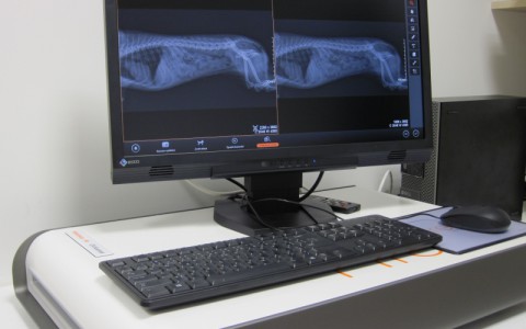 Digitální rentgen s anatomickým programem