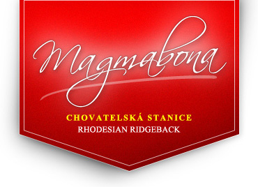 magmabona-logo